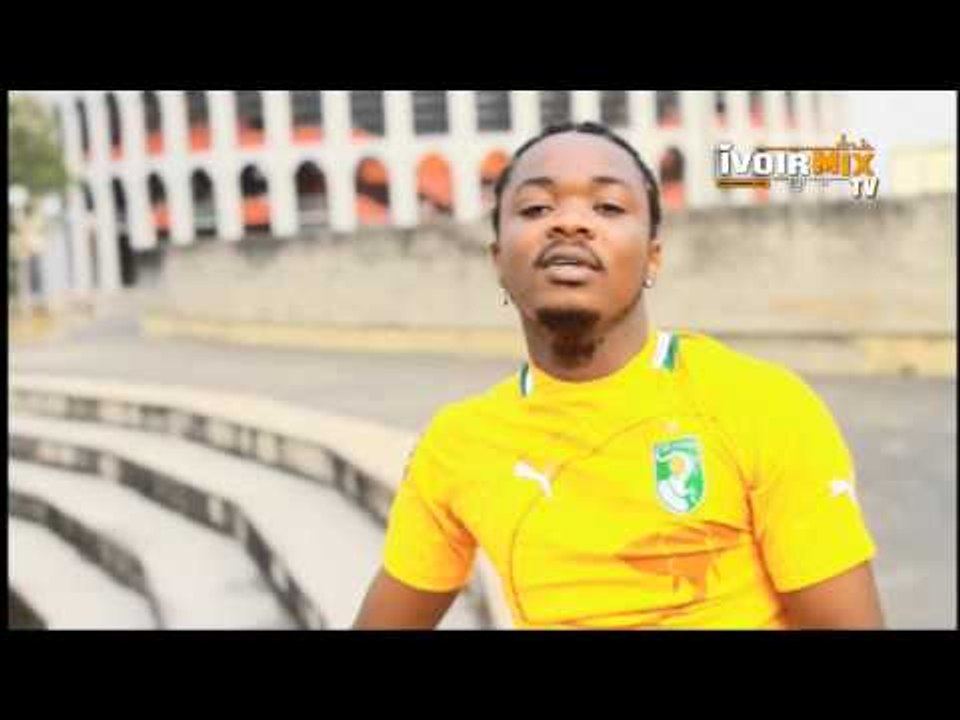 TSUNAMI DJ- CLIP ÉLÉPHANTS DANGEREUX