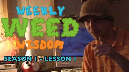 WEEKLY WEED WISDOM LESSON #1: Going to Work Stoned