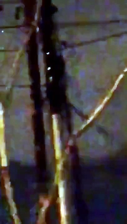 a invasão já começo , mais de 50 OVNIS avistado são Paulo