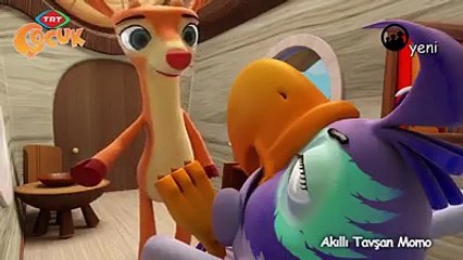 Akıllı Tavşan Momo 10 Bölüm