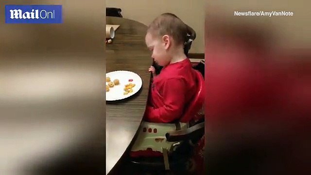 Two-year-old boy is so exhausted he falls asleep at table _2017