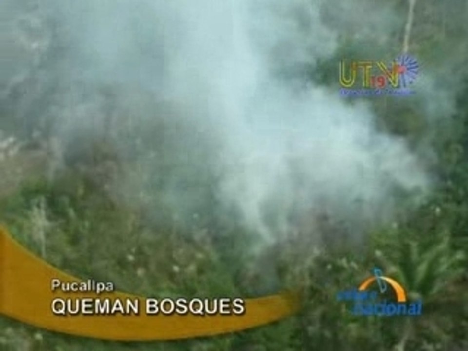 QUEMAN BOSQUES  - PUCALLPA