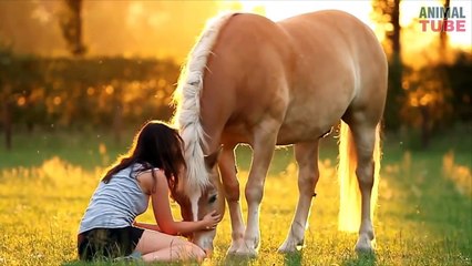 GIRL AND HORSE - GREAT BOND