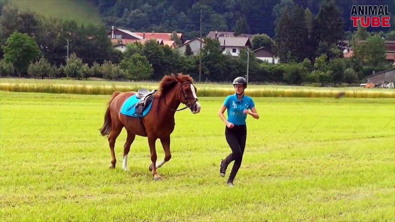 GIRL AND HORSE - GREAT BOND VOL.3
