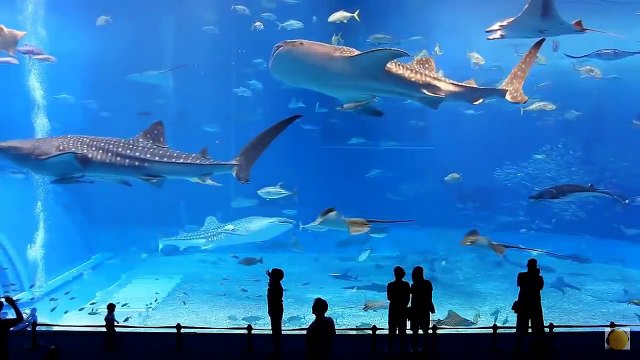 Самая Новая Клубная Музыка ХИТЫ 2016