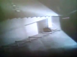 Extraterrestre ou criatura desconhecida