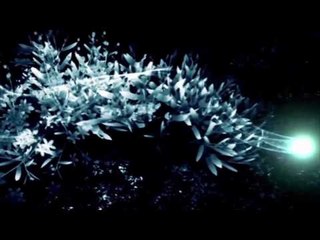 Tự Học After Effects - Bài 7:  Tìm hiểu Panel preview | HD Group