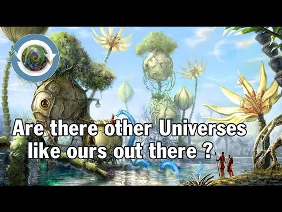 Are there other Universes like ours out there ?