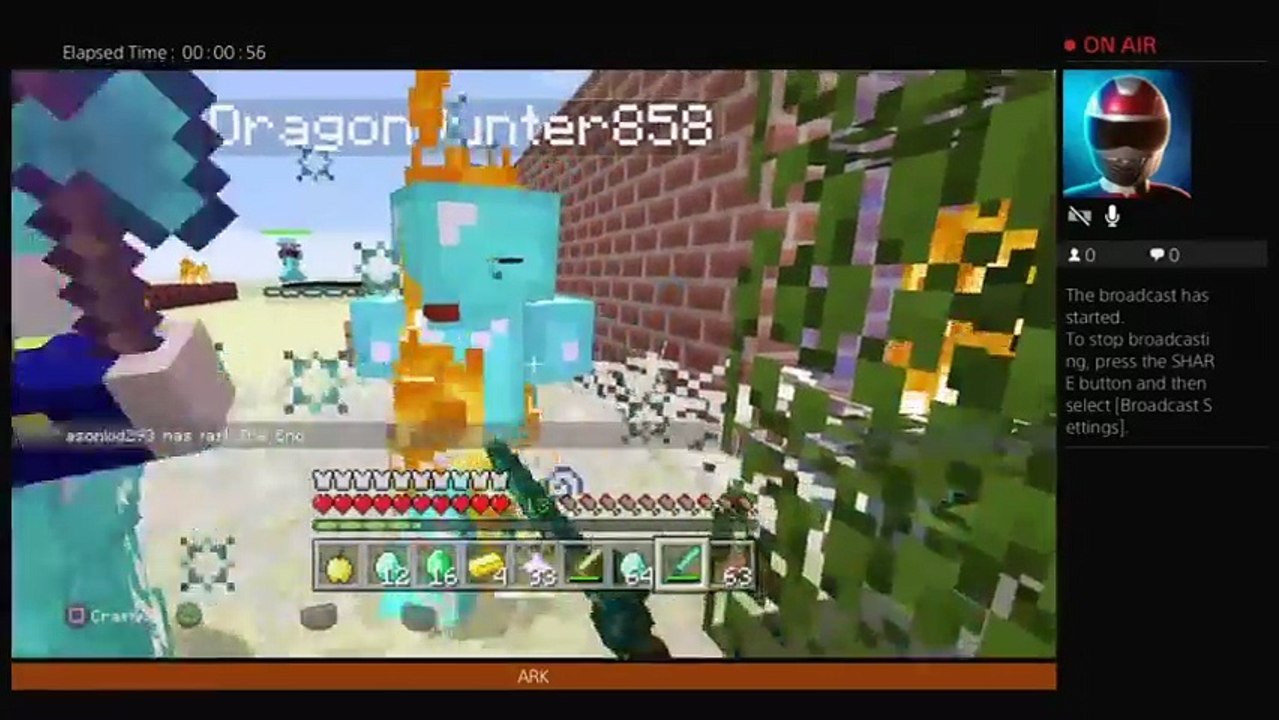 Minecraft (16)