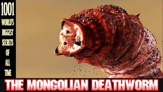 Breaking News all time – The Mongolian Deathworm - 最新ニュース -