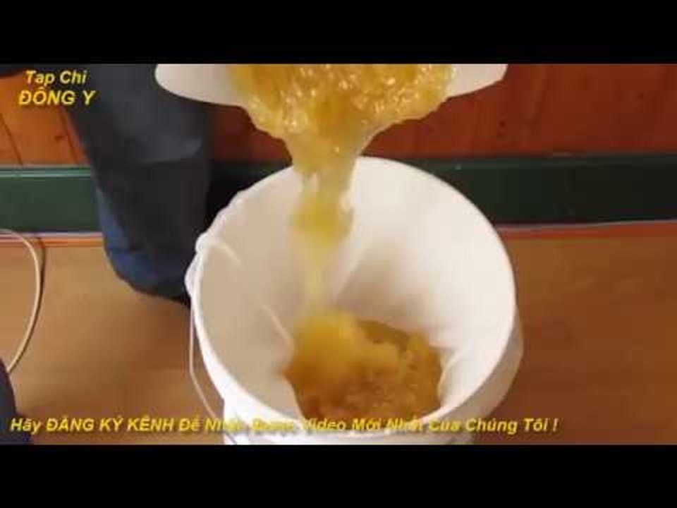 MẸO DÙNG MẬT ONG CHỮA BỆNH TRĨ CỰC HAY vs Sức Khỏe với Đông Y
