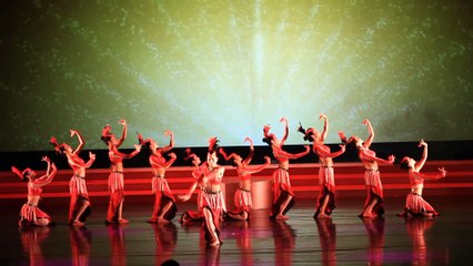 Múa Những cánh chim trên Cao Nguyên_Đoàn ca múa nhạc nghệ thuật quân đội.