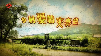 乡村爱情6 第11集