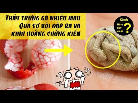 ✔ Hôm nay có gì? - Kinh hoàng chứng kiến bên trong khi đập trứng gà thấy be bét máu.