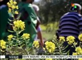 España: sindicatos y jornaleros ocupan finca abandonada de BBVA