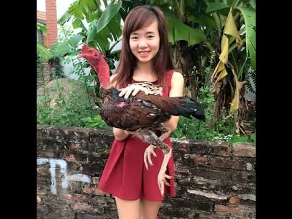 Cách chọn linh kê qua màu sắc của lông