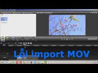 khắc phục lỗi không mở file định dạng mov trên camtasia studio