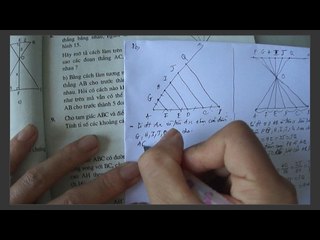 Giải bài tâp hình học 8 - định lý ta let đảo và hệ quả của định lý ta lét -  online courses