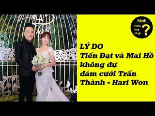 Hôm nay có gì? - Lý do sao Tiến Đạt và Mai Hồ không đến dự đám cưới Trấn Thành - Hari won