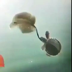 배팅사이트추천【 SCB 3 3、CＯM - 코드: 0004 】☻종합격투기배팅배팅