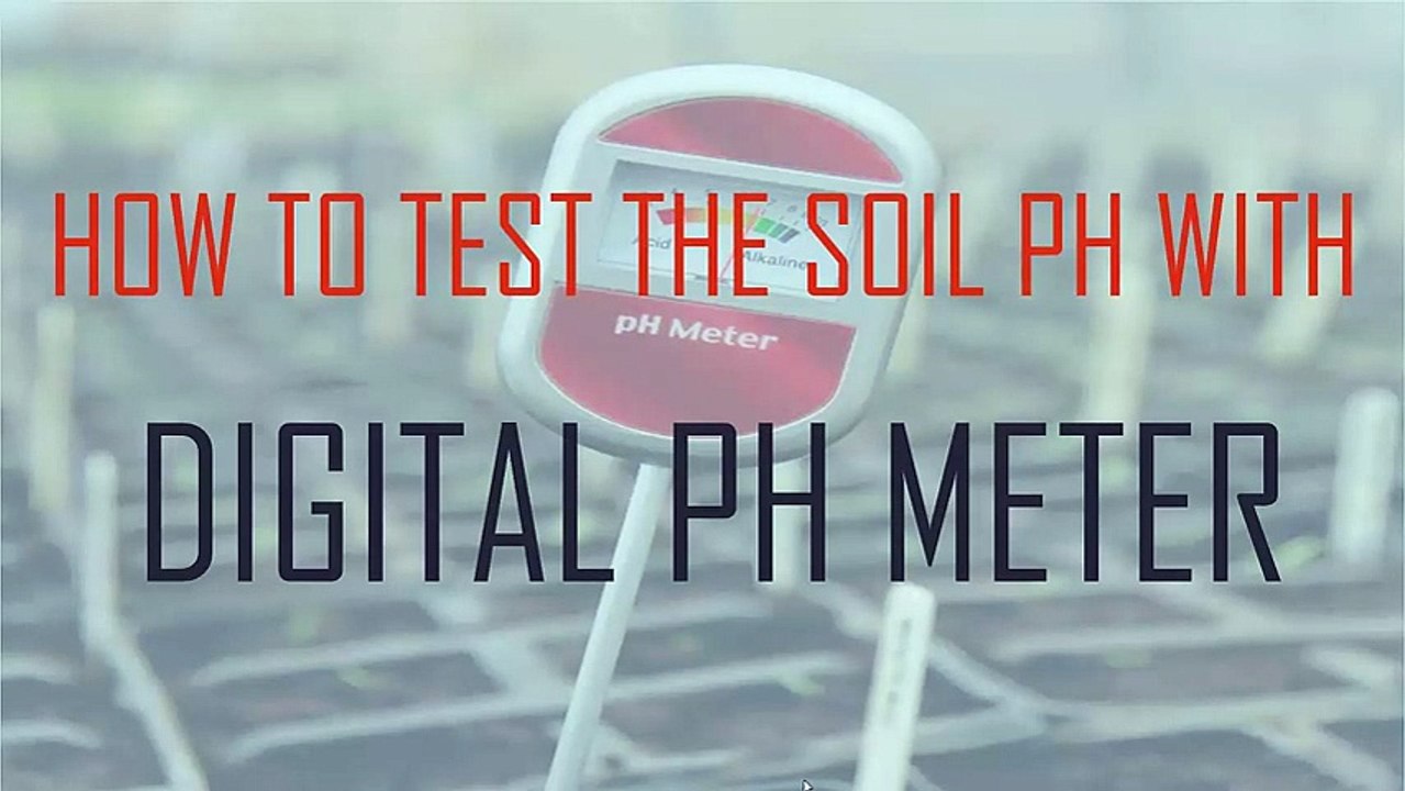 How to Check Soil PH using Digital PH Meter