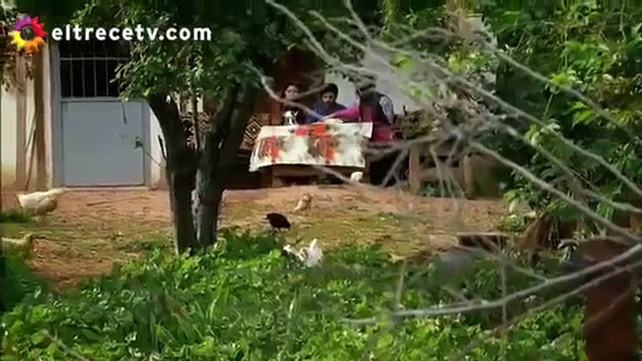 Esposa Joven 88