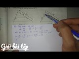 giải bài tập hình học 8 - bài 5 chương tam giác đồng dạng - online coures