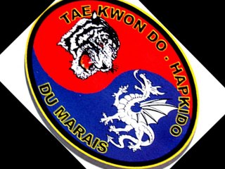 Techniques combat plastron