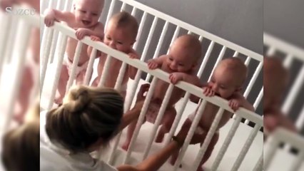 Dünyanın en sevimli dörtlüsü...