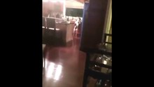 Incroyable : regardez comment ce chien réagit lorsqu’on le surprend la patte dans le sac !