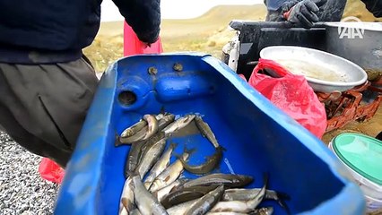 Buzları çözülen göle 'kuş bakışı'