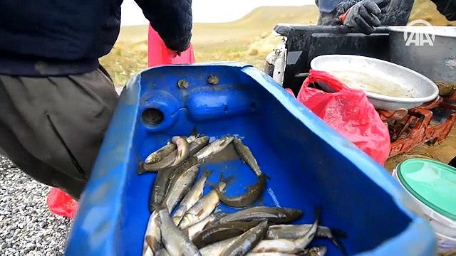 Buzları çözülen göle 'kuş bakışı'