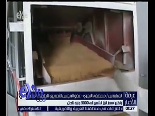 غرفة الأخبار | تعرف على أسباب ارتفاع اسعار الارز الشعير الى 3000 جنيه للطن