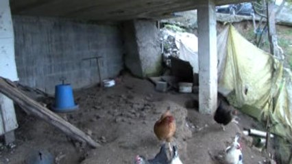 Kanser Hastası Kadın, Engelli Yeğenleri İçin Emine Erdoğan'dan Yardım Bekliyor