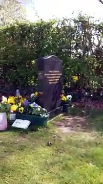 Cet oiseau vient se poser sur son doigts alors quelle fleurit la tombe de son fils décédé... Miracle!