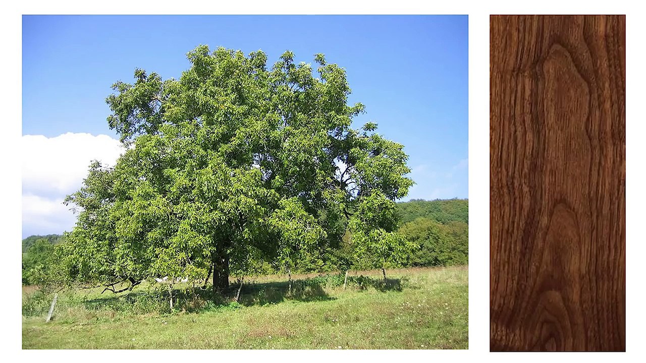 Выбор кухонных фасадов - дизайн интерьера