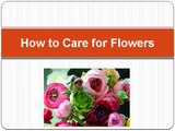 How to Take Care of Flowers - Speaking Roses