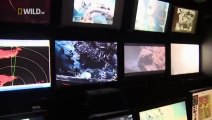 Life of Oceans [Full Nature Documentary]