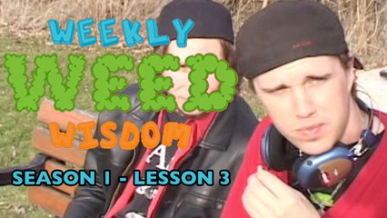 WEEKLY WEED WISDOM LESSON #3: Scavengers