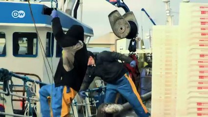 الصيادون في اسكتلندا يؤيدون البريكسيت | صنع في ألمانيا