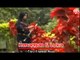 Thomas Arya - Kenangan Dan Luka [Official Music Video HD]