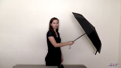 NTDV053S - Mini parapluie Automatic