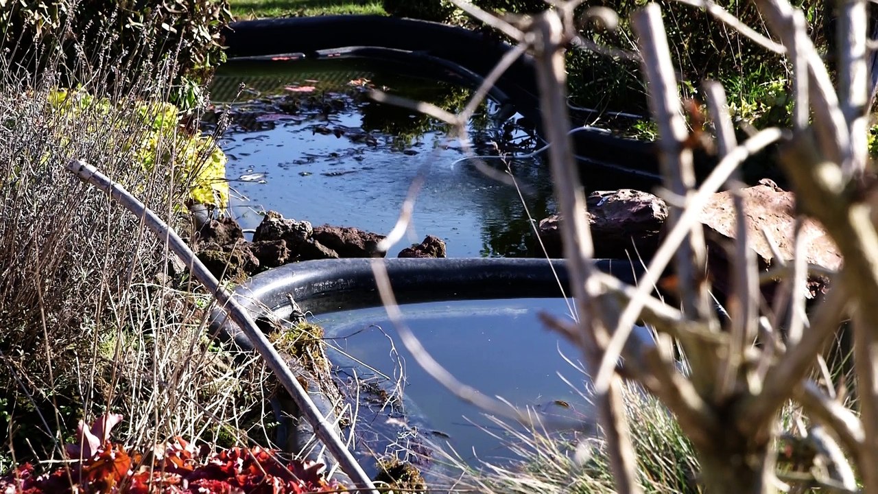 A la rencontre de Patrick Prevot