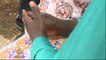 Nigeria: Rescued Boko Haram wives share stories