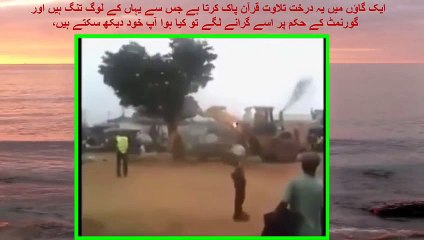 Hukumat Ki Is Darakht Ko Girane Ki Koshish