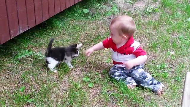Quoi de plus mignon que des bébés et des chatons Compilation