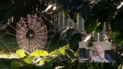 Amazing Technologies Inspired By Nature - dailymotion