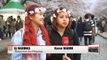 Visitors to Jinhae festival bask in cherry blossoms in bloom