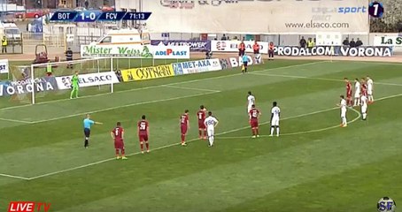 Gabriel Vasvari Goal HD - FC Botosani - FC Voluntari 0-3 (05-04-2017)