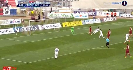 Lóránd Fülöp Goal HD - FC Botosani - FC Voluntari 3-0 505-04-2017°